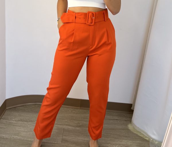 Solid Pants With Belt - Image 2