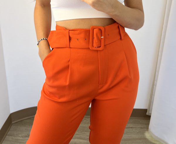 Solid Pants With Belt - Image 6